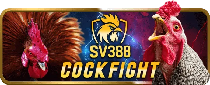 Cá cược thể thao mới jb88 Casino